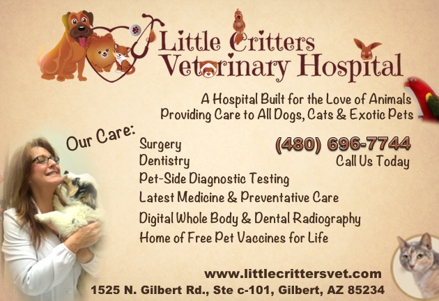 Little Critters Veterinary Hospital | 1525 N Gilbert Rd #C-101, Gilbert, AZ 85234, USA | Phone: (480) 696-7744