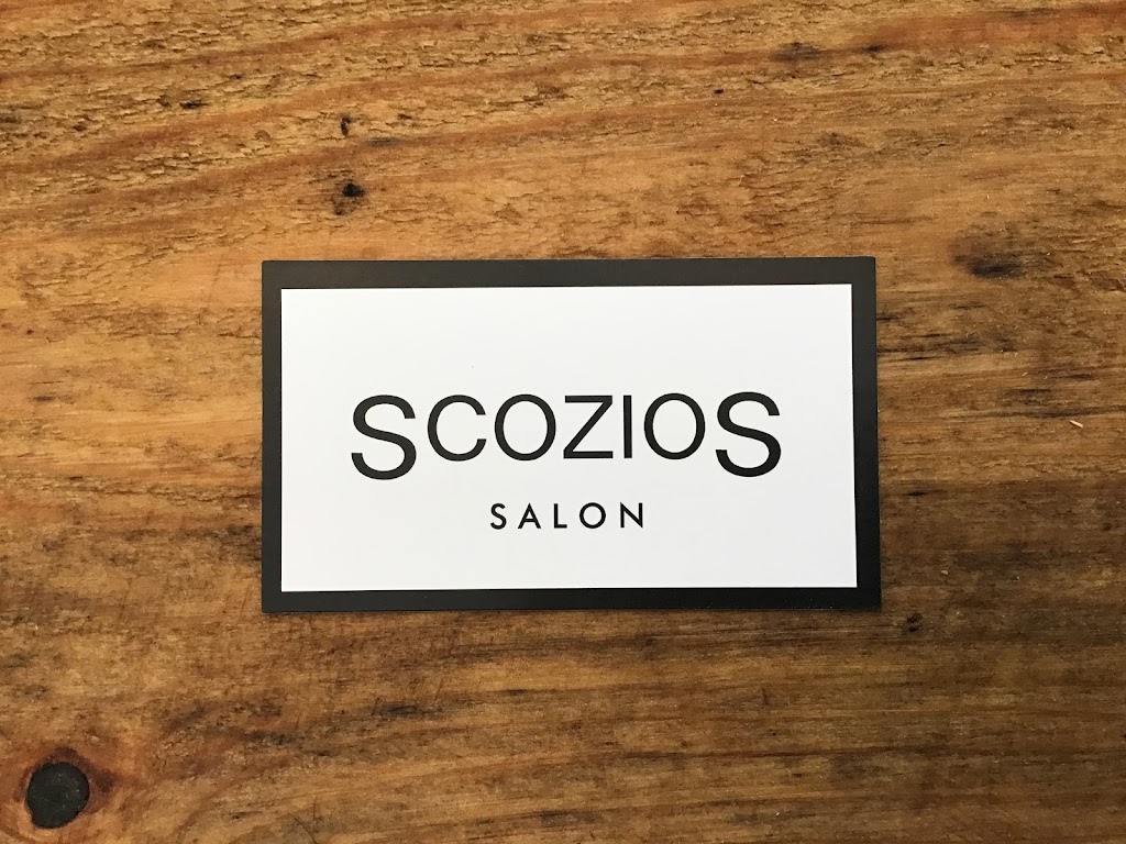 Scozios Salon | 3 Quaker Village Shopping Ctr, Leetsdale, PA 15056 | Phone: (610) 492-2988