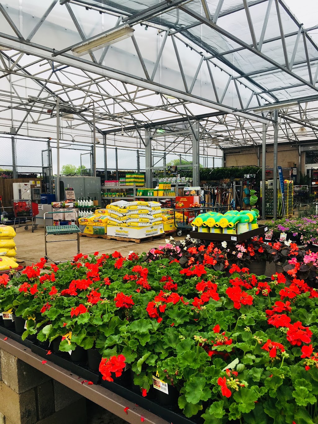 Lowes Garden Center | 430 S Germantown Pkwy, Cordova, TN 38018, USA | Phone: (901) 309-2379