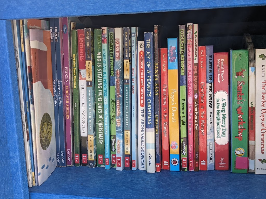 Laineys Free Little Library | 2724 Oak Trail, Carrollton, TX 75007, USA | Phone: (214) 701-3668