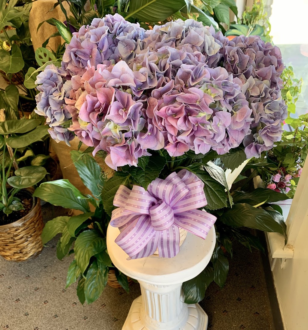 The Flower Shoppe | 542 Wythe Creek Rd, Poquoson, VA 23662, USA | Phone: (757) 868-7117