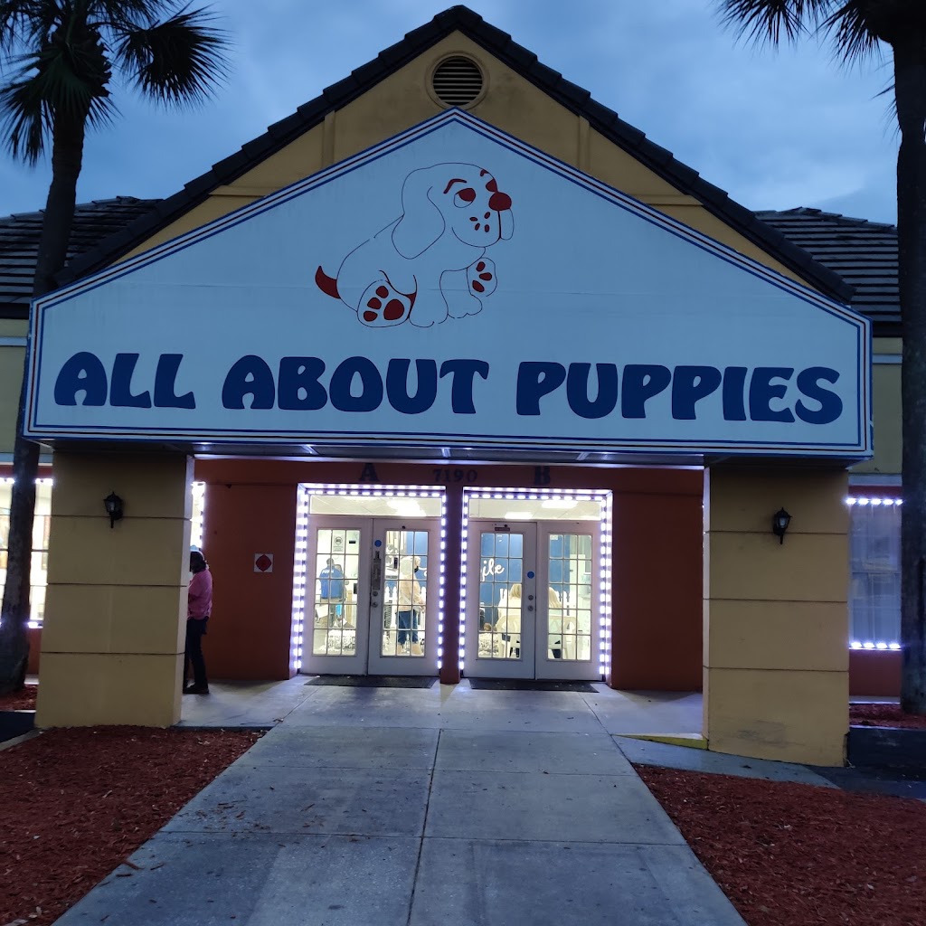 All About Puppies | 7190 Ulmerton Rd, Largo, FL 33771, USA | Phone: (727) 536-4900