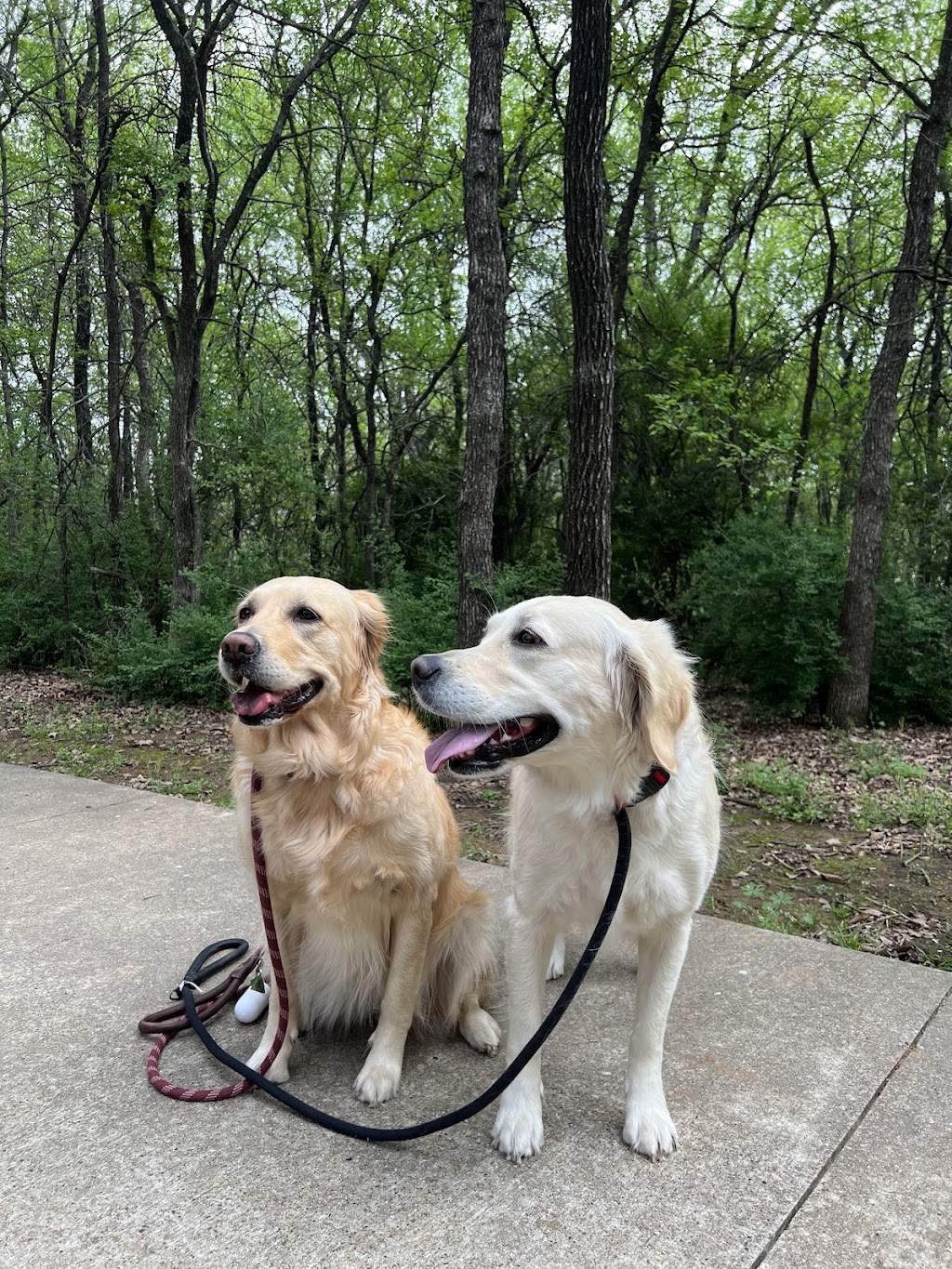 Village Park | 907 Saddle Brook Dr #901, Highland Village, TX 75077, USA | Phone: (972) 317-4730