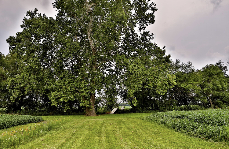 The Old Barns At Dry Run Farms | 20521 Pherson Pike, Williamsport, OH 43164, USA | Phone: (740) 202-9161