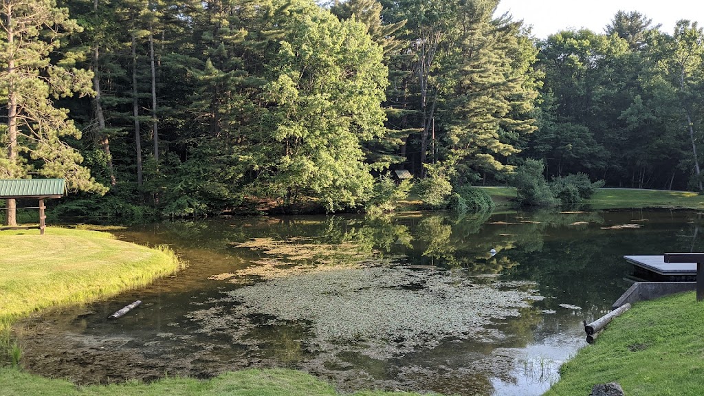 Hanging Bog Wildlife Management Area | Caneadea, NY 14717, USA | Phone: (716) 372-0645