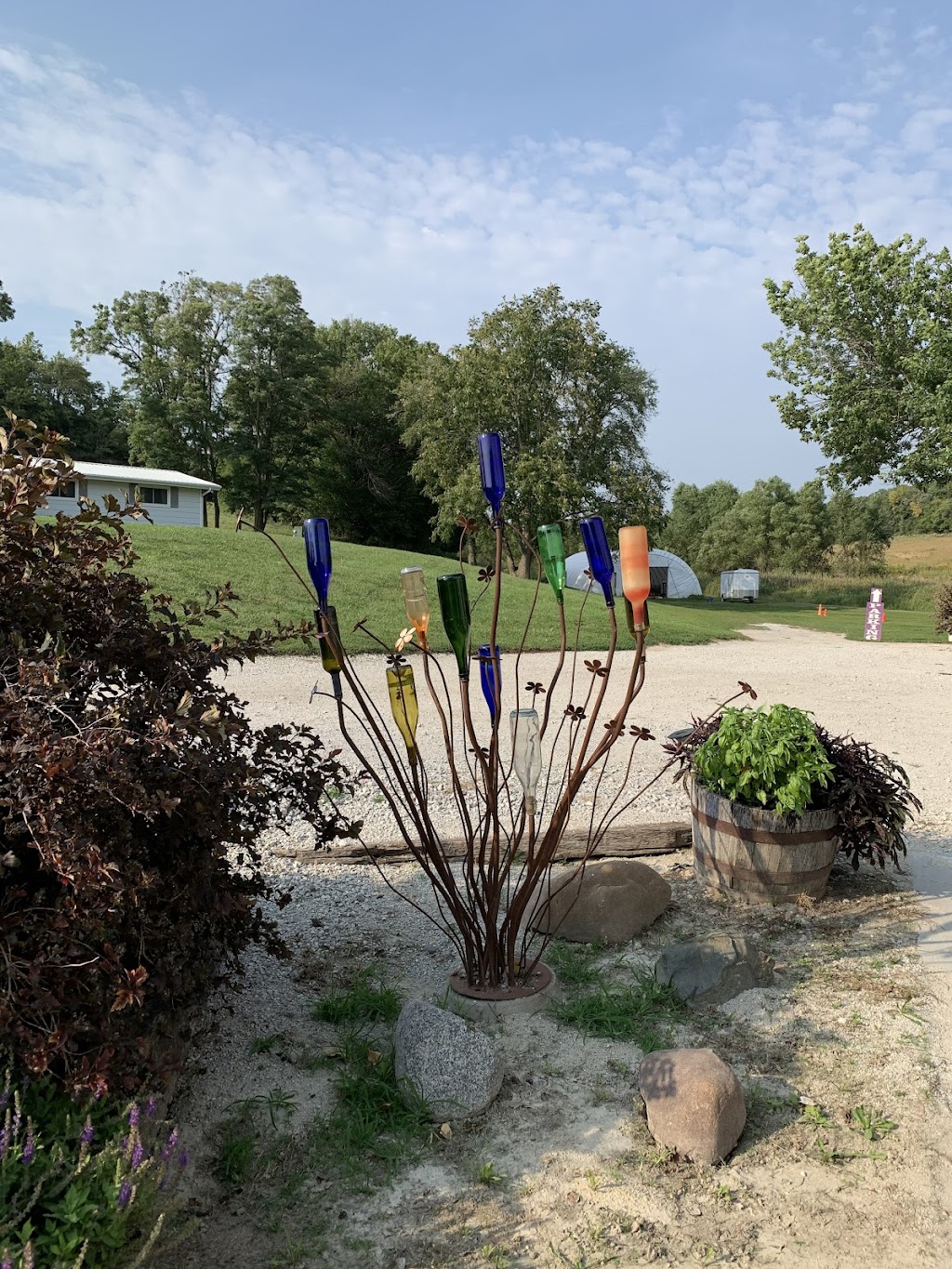 Loess Hills Lavender Farm | 2278 Loess Hills Trail, Missouri Valley, IA 51555, USA | Phone: (712) 642-9016