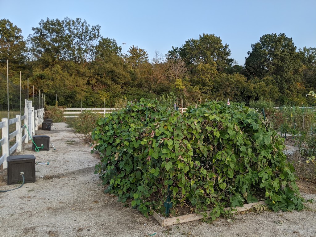 Chesterfield Community Garden | Chesterfield parkway and, Burkhardt Pl, Chesterfield, MO 63017 | Phone: (636) 812-9500