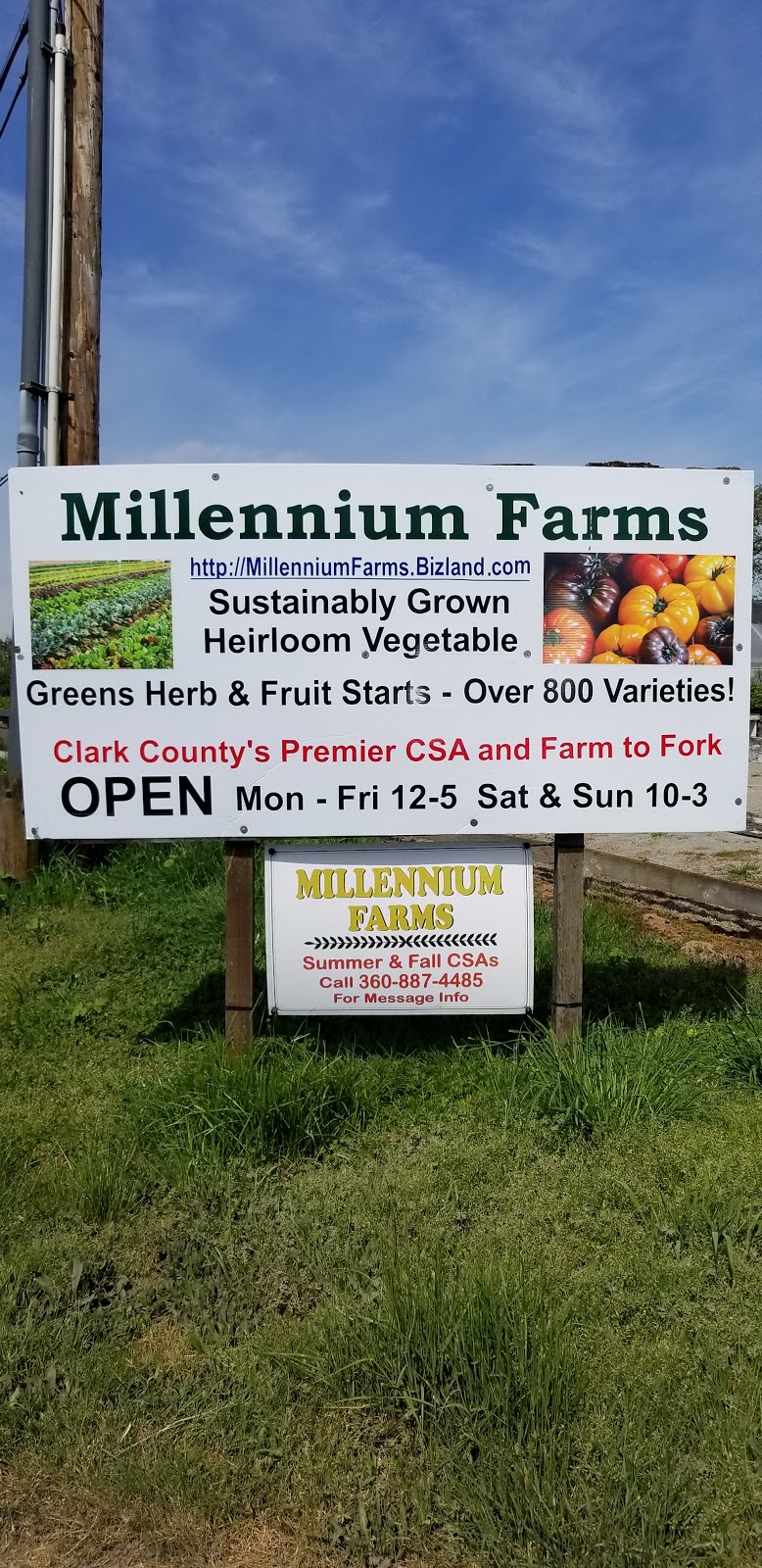 Millennium Farms | 1504 NW 299th St, Ridgefield, WA 98642, USA | Phone: (360) 887-4485