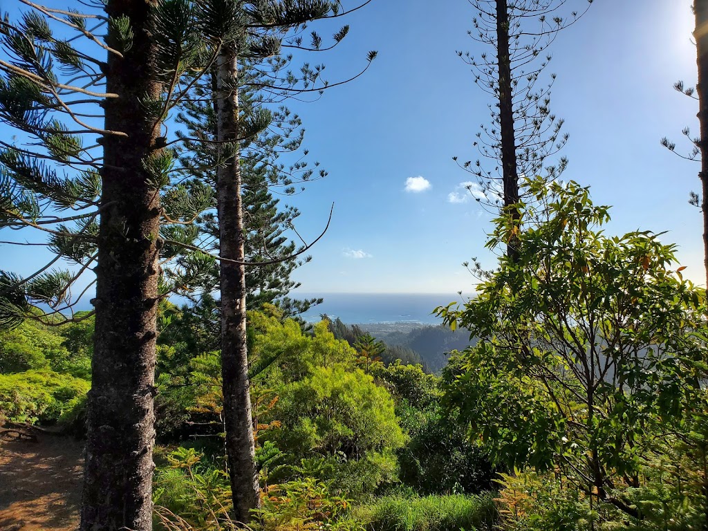 Lāʻie Falls Trail | 55-261 Poohaili St, Laie, HI 96762, USA | Phone: (808) 293-9201