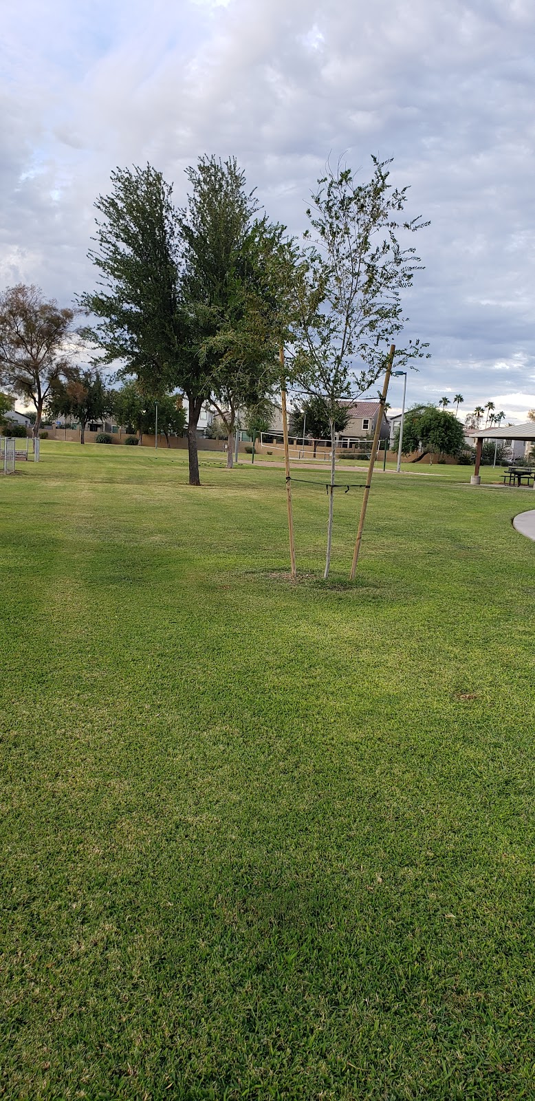 Alta Mesa Park | 1910 N Alta Mesa Dr, Mesa, AZ 85205 | Phone: (480) 644-2352