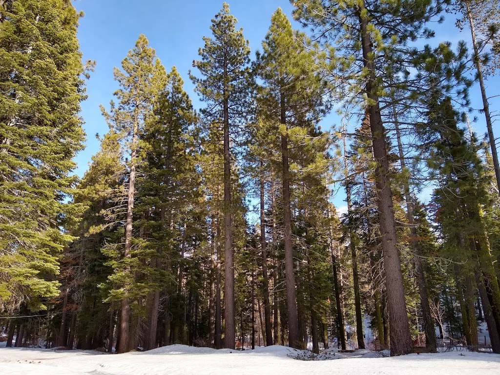 Kaspian Recreation Area | 3255 CA-89, Tahoe City, CA 96145 | Phone: (530) 583-3642