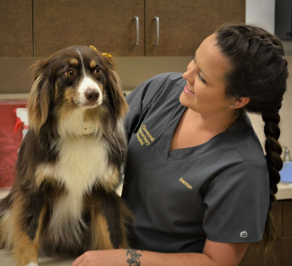 Clovercroft Veterinary Hospital | 4180 Clovercroft Rd, Franklin, TN 37067, USA | Phone: (615) 790-8585