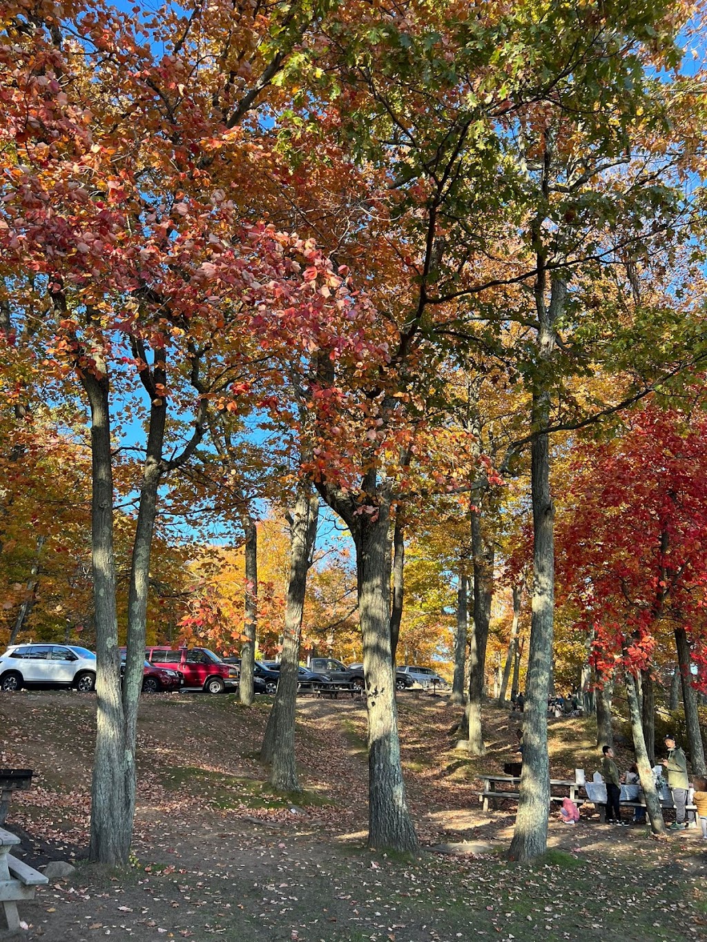 Lake Tiorati Beach - Harriman State Park | 2300 Seven Lakes Dr, Southfields, NY 10975, USA | Phone: (845) 429-8257