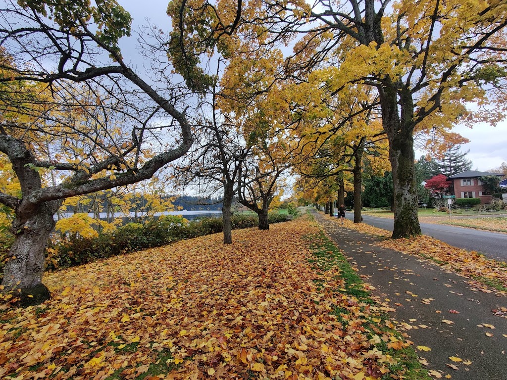 Lake Washington Boulevard Park | 4500 Lake Washington Blvd S, Seattle, WA 98118, USA | Phone: (206) 684-4075