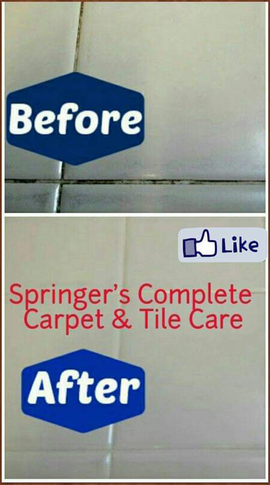 Springers Complete Carpet and Tile Care | 44151 Harmony Ln, Belleville, MI 48111, USA | Phone: (734) 637-4296