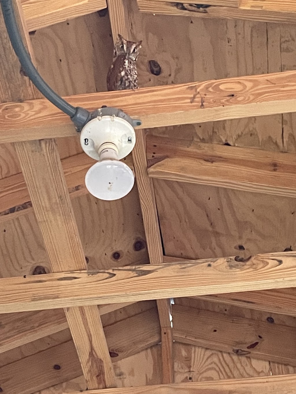 Humphries Pest Control Inc | 751 Highland Ave NW, Palm Bay, FL 32907, USA | Phone: (321) 759-7378