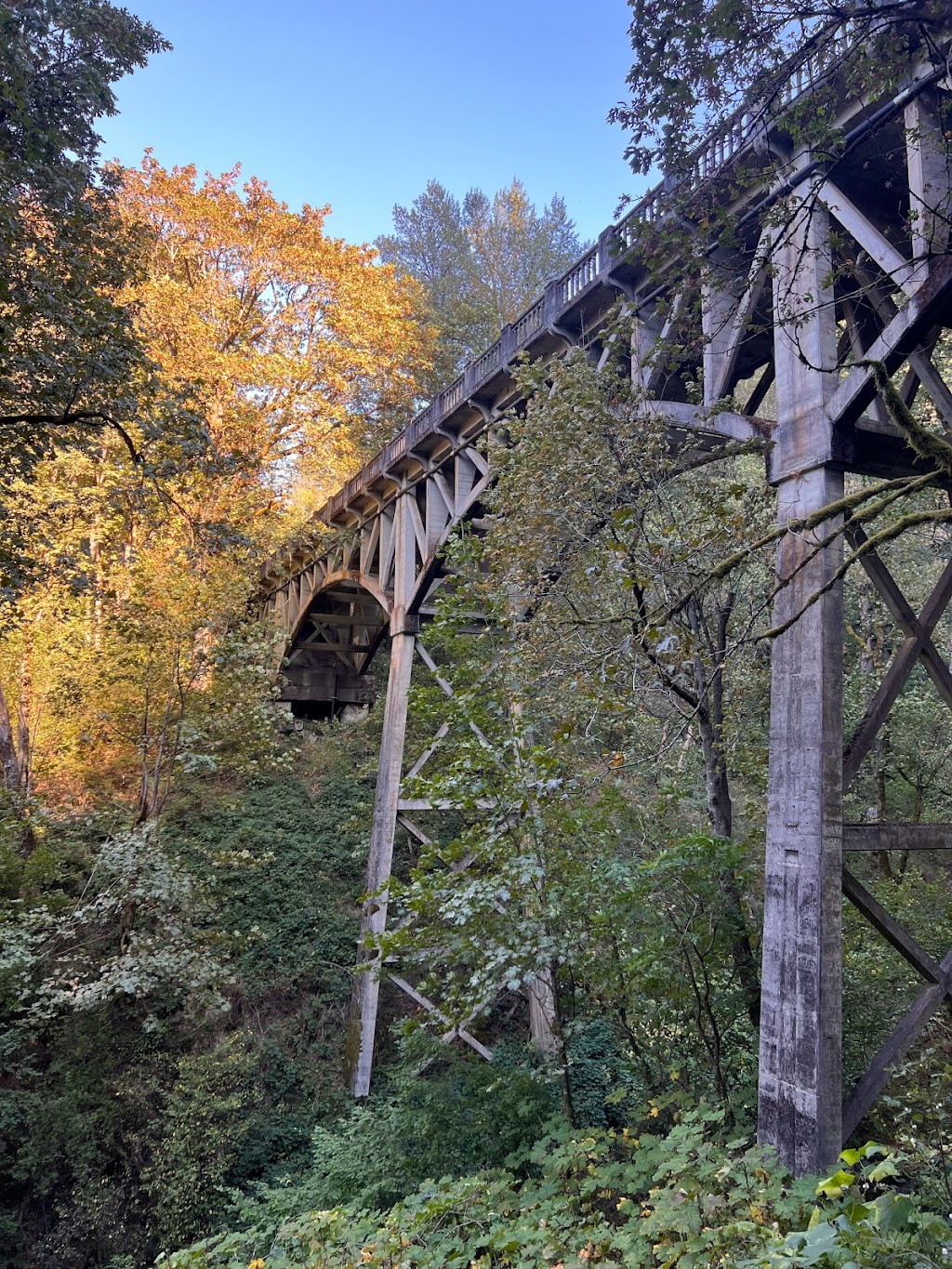 Guy W. Talbot State Park | Historic Columbia River Hwy, Corbett, OR 97019, USA | Phone: (800) 551-6949