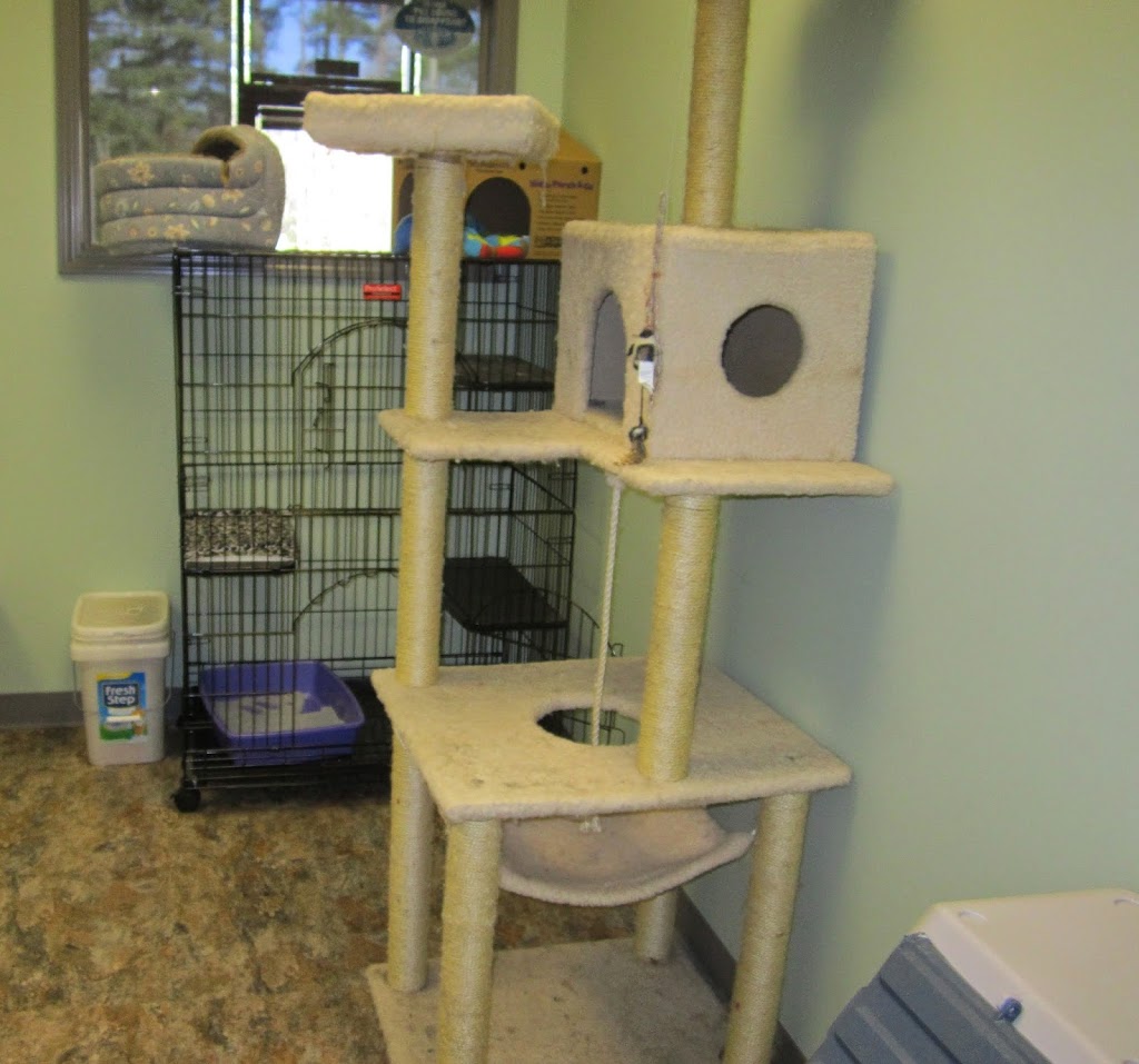 Oak Hill Animal Hospital | 5274 GA-20, Covington, GA 30016, USA | Phone: (770) 728-9976