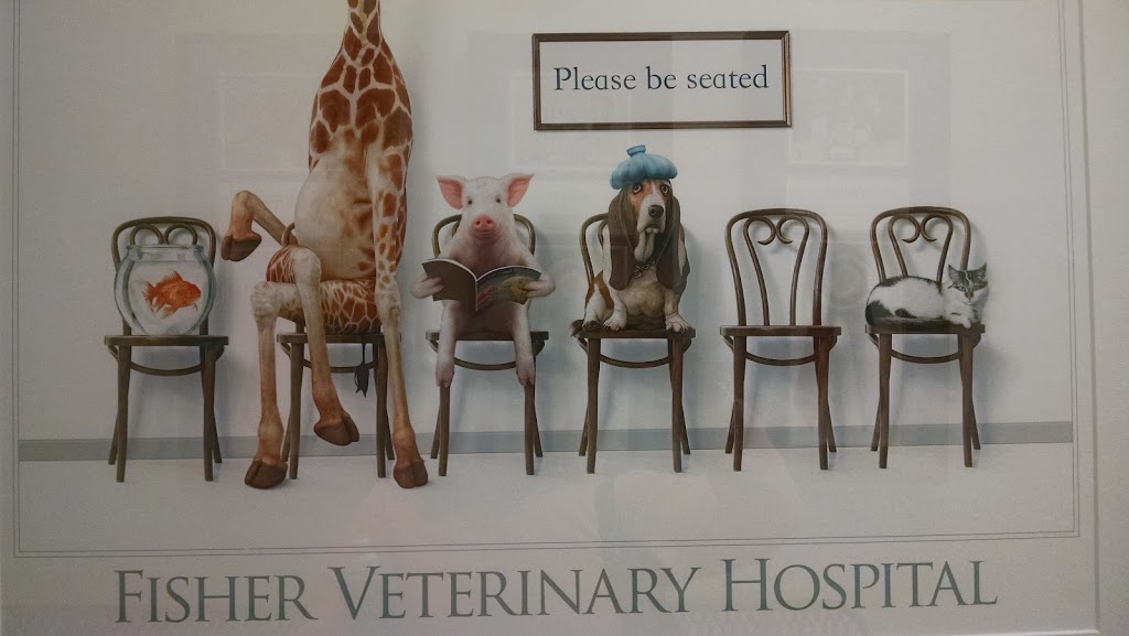 Fisher Veterinary Hospital | 3700 Gresham Lake Rd, Raleigh, NC 27616, USA | Phone: (919) 790-0412