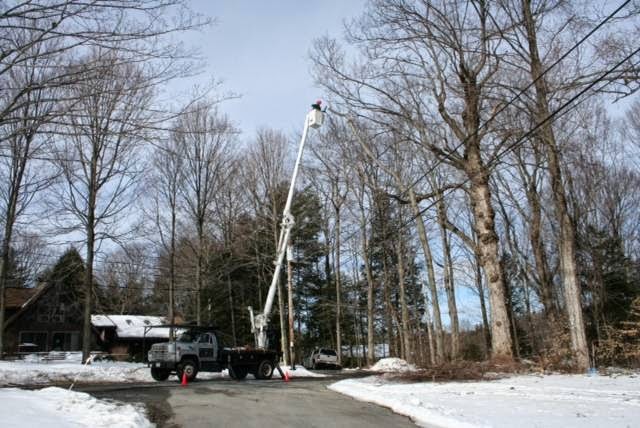 Welsh Tree Care | 2079 Cook Rd, Charlton, NY 12019, USA | Phone: (518) 813-7120