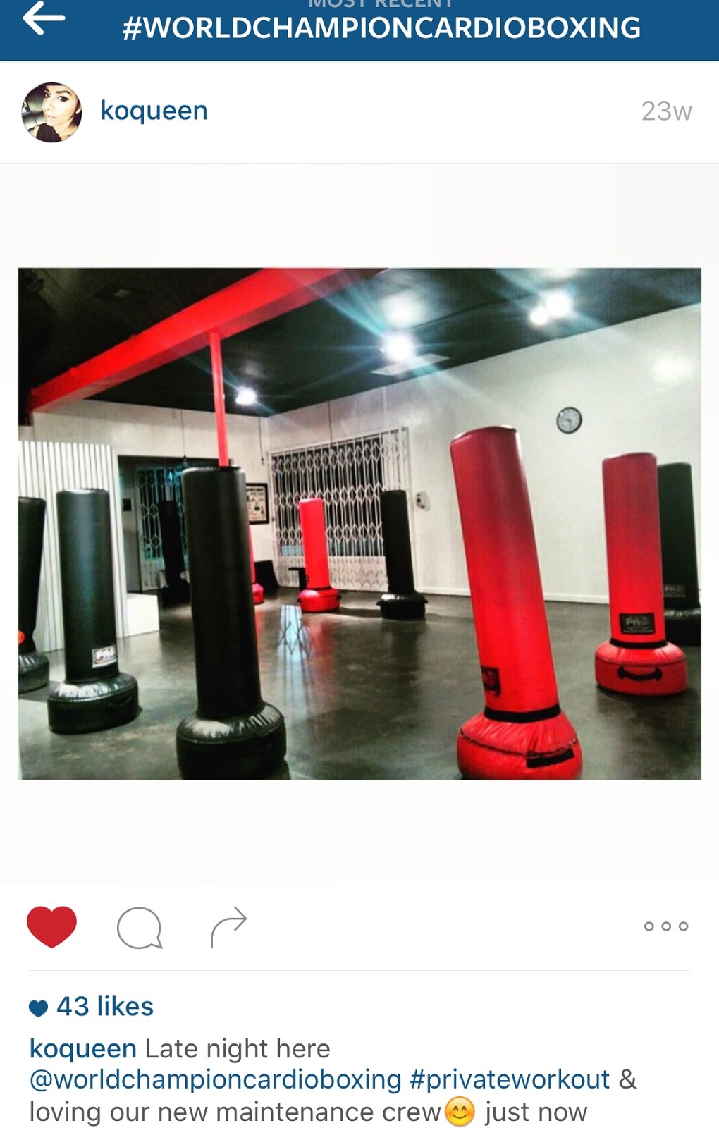 World Champion Cardio Boxing INC. | 11700 Magnolia Blvd, Valley Village, CA 91607, USA | Phone: (323) 440-2424