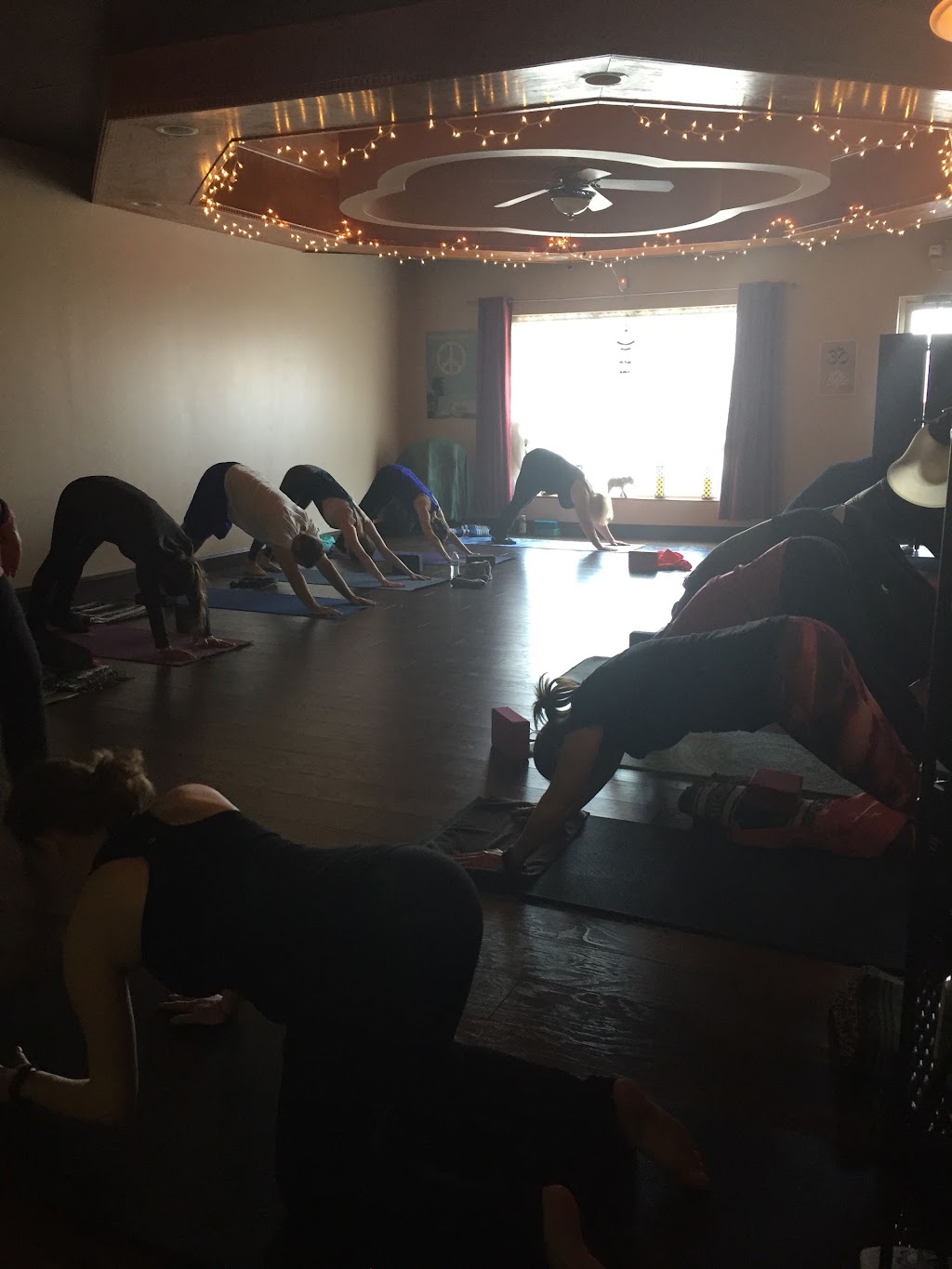 Lotus One Yoga | 35700 Green St, New Baltimore, MI 48047, USA | Phone: (586) 946-1600