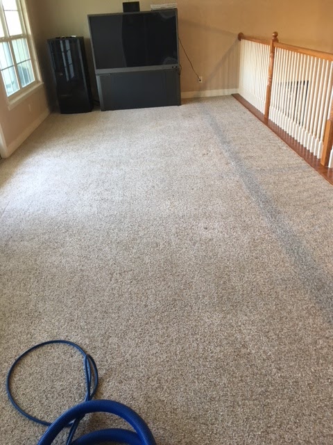 Simply Clean Carpets | 000, New Braunfels, TX 78130, USA | Phone: (830) 822-3588