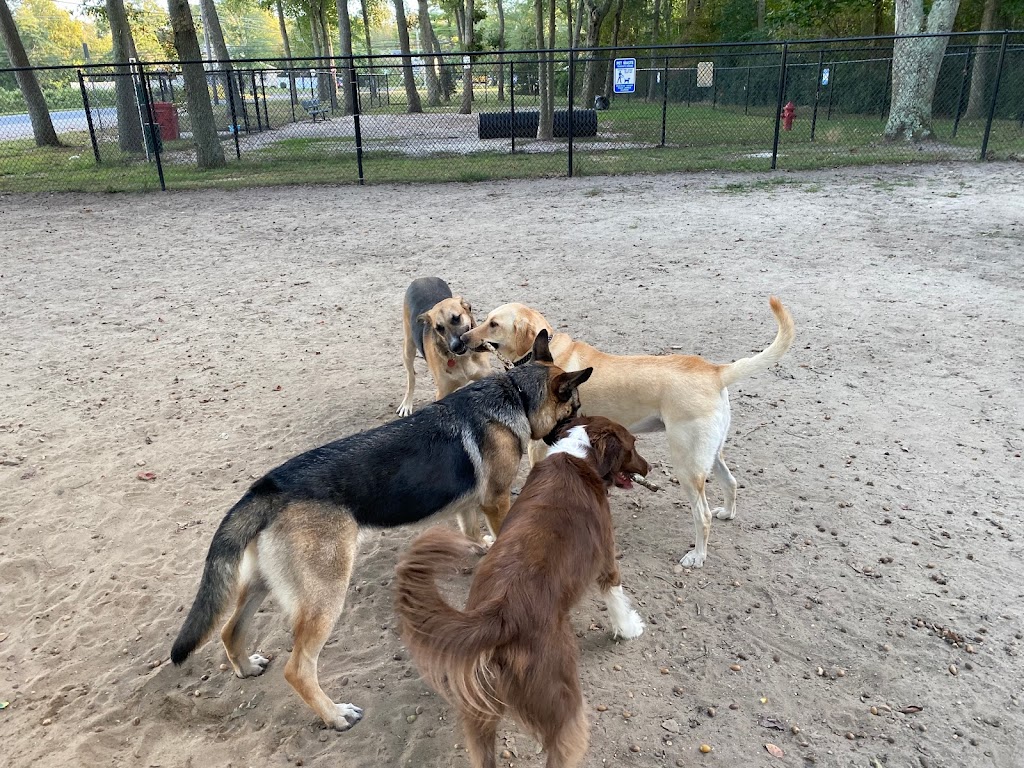 City of Vineland Dog Park | Vineland, NJ 08361, USA | Phone: (856) 794-4084