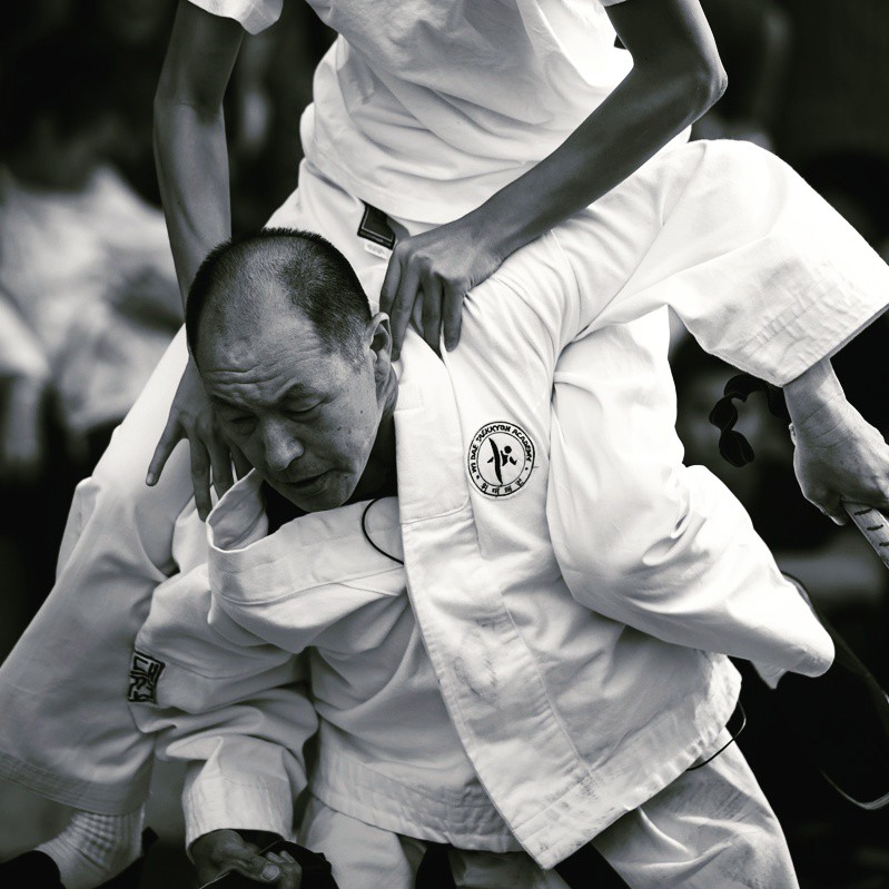 Wi Dae Taekkyon | 2908-1/2 Foothill Blvd, La Crescenta-Montrose, CA 91214, USA | Phone: (213) 703-6055