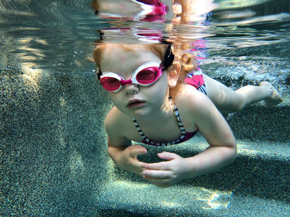 Amy’s Aquatics | 1913 Hamilton Dr, Flower Mound, TX 75028, USA | Phone: (972) 571-7220