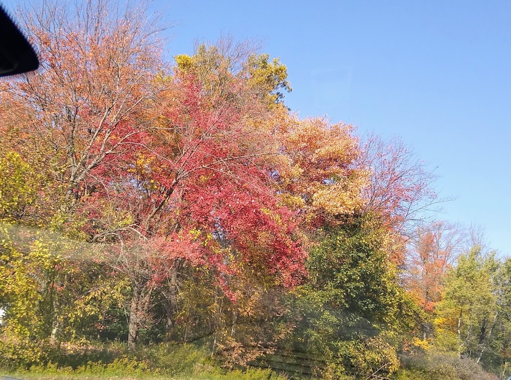 Twin Lakes Home Sales Inc | 11958 NY-16, Yorkshire, NY 14173, USA | Phone: (716) 496-8240