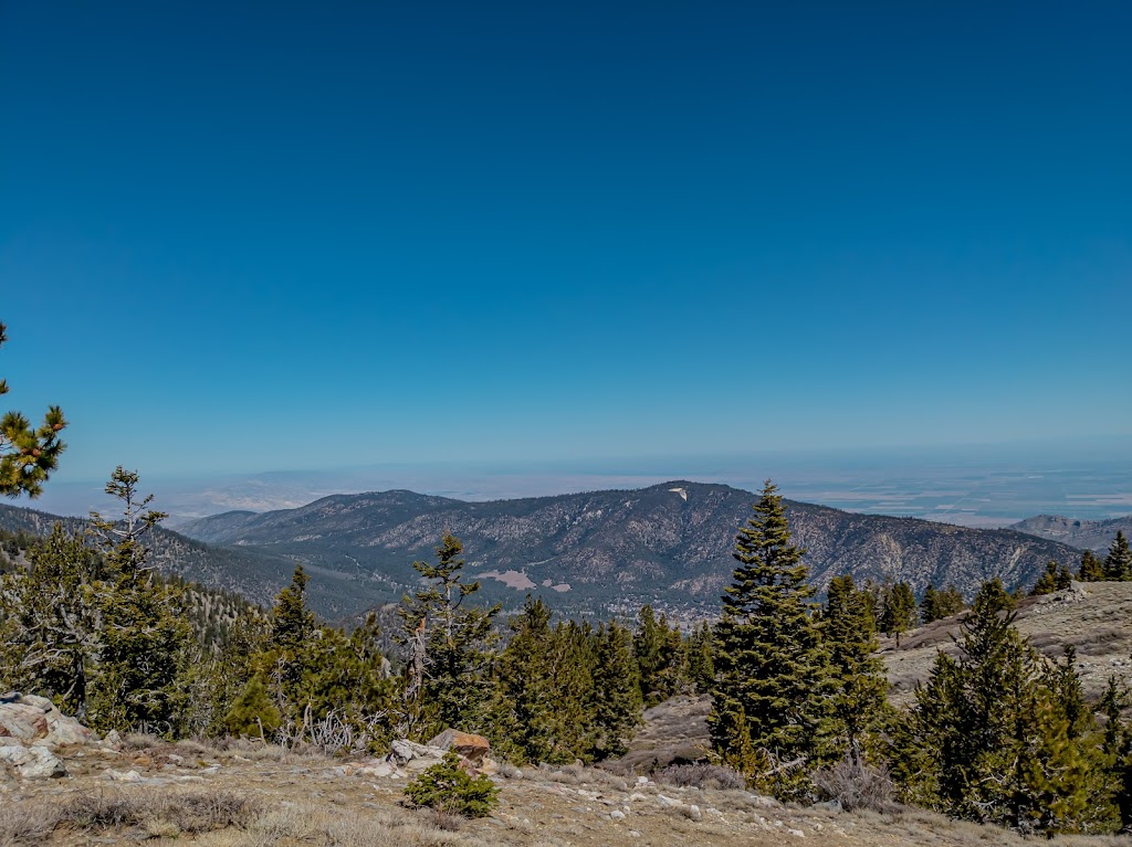 Chumash Wilderness | Mt Pinos Rd, Frazier Park, CA 93225, USA | Phone: (805) 968-6640