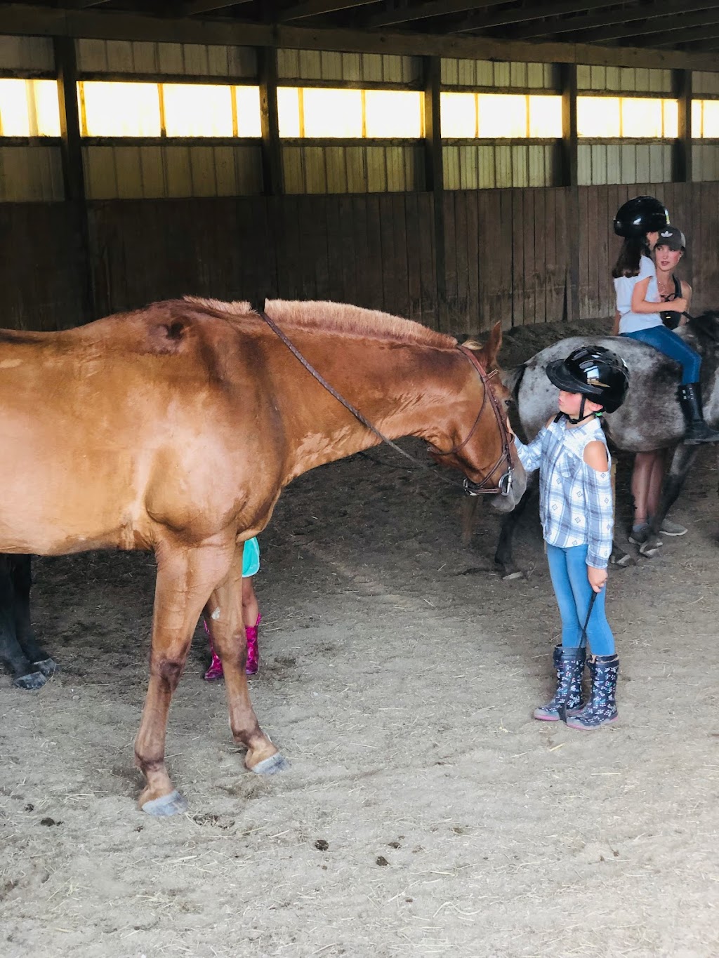 J&J Equestrian Center | 707 Edith Ave, Noblesville, IN 46060, USA | Phone: (317) 340-1420