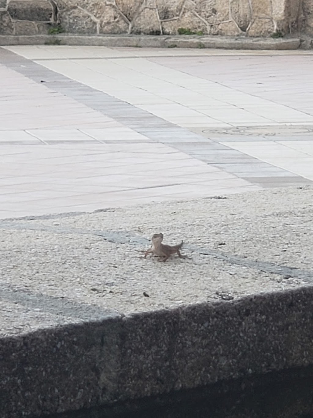 Ocean Center | 699-707 Earl St, Daytona Beach, FL 32118, USA | Phone: (386) 238-3110