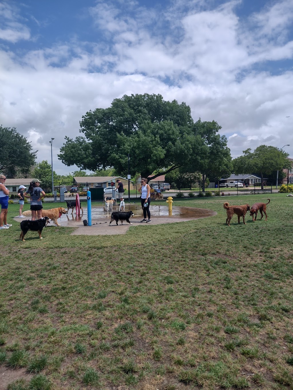 Barney Wood Bark Park | 14090 Heartside Pl, Farmers Branch, TX 75234, USA | Phone: (972) 247-4607