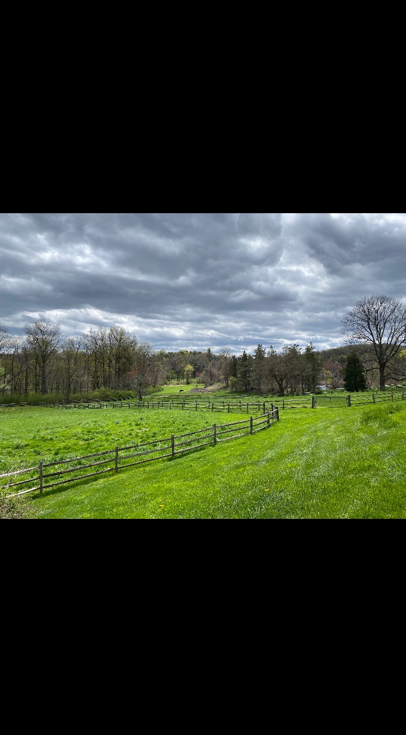 Sheer Chance Stable LLC | 1800 Art School Rd, Chester Springs, PA 19425, USA | Phone: (717) 471-7401