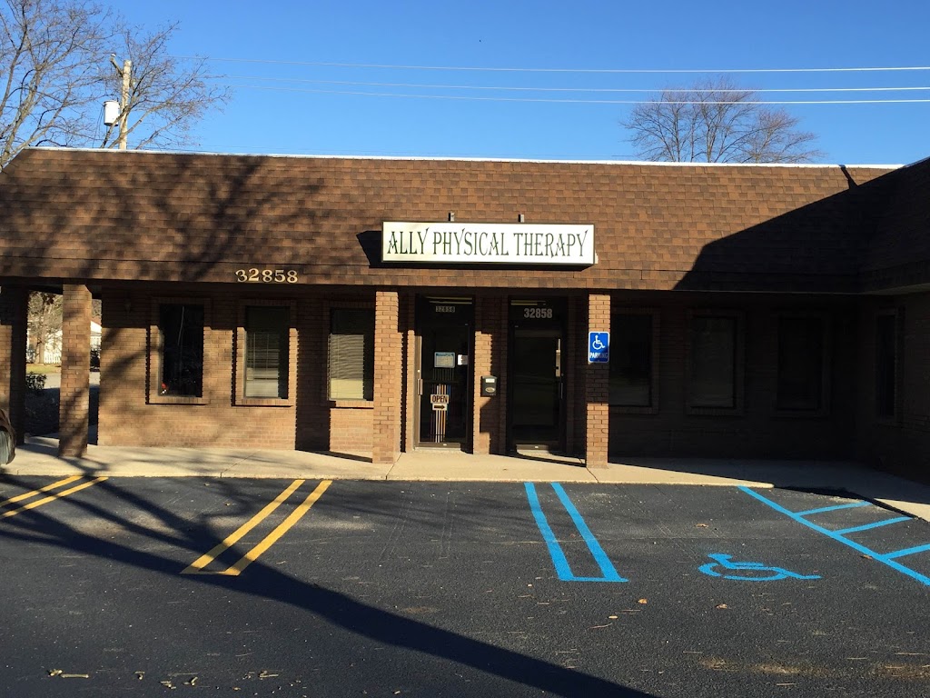 Ally Physical Therapy | 7313 N Lilley Rd, Canton, MI 48187, USA | Phone: (734) 335-8202