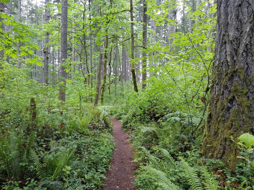 Lake Wilderness Arboretum | 22520 SE 248th St, Maple Valley, WA 98038, USA | Phone: (253) 293-5103