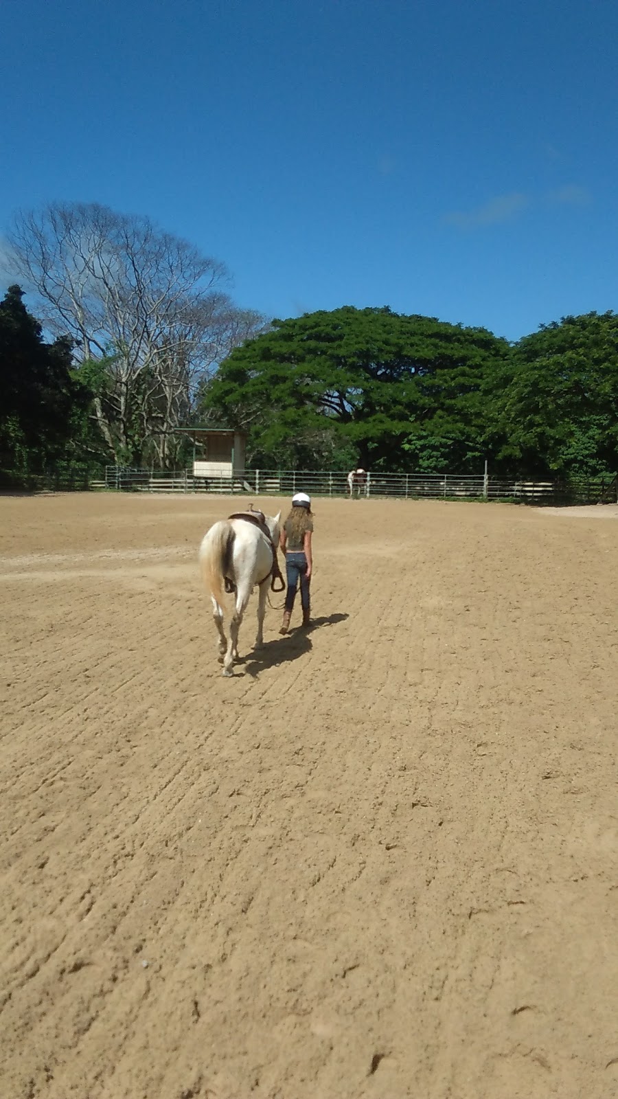 Goal Oriented Animal Therapy | 47-401 Waihee Pl # A, Kaneohe, HI 96744, USA | Phone: (808) 670-4518