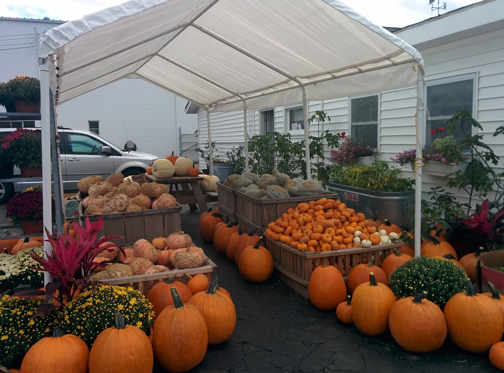 West Orchards Farm Market | 3034 N Ridge Rd, Perry, OH 44081, USA | Phone: (440) 259-3192