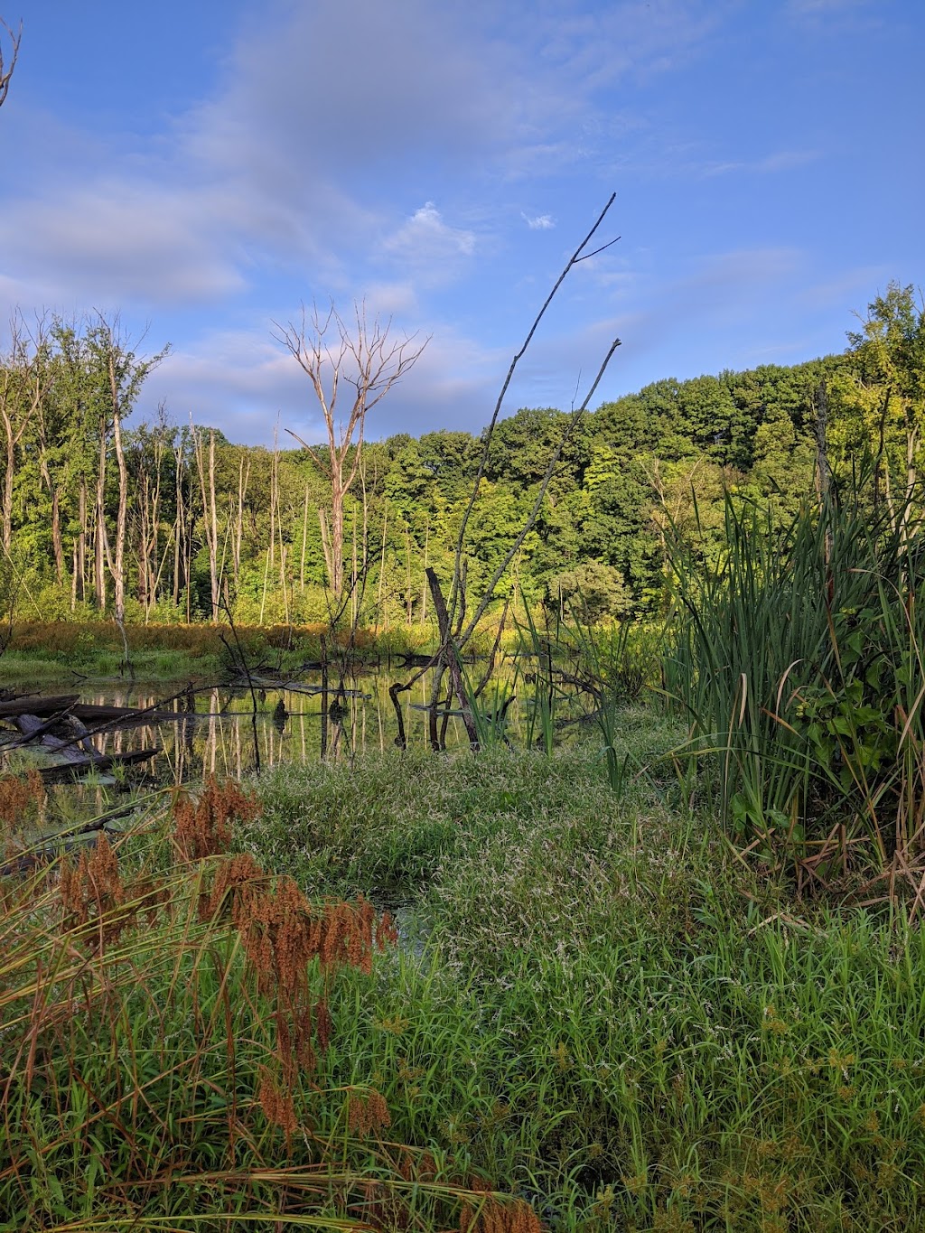 Lagoon Picnic Area | Valley Pkwy, Brook Park, OH 44138, USA | Phone: (216) 635-3200