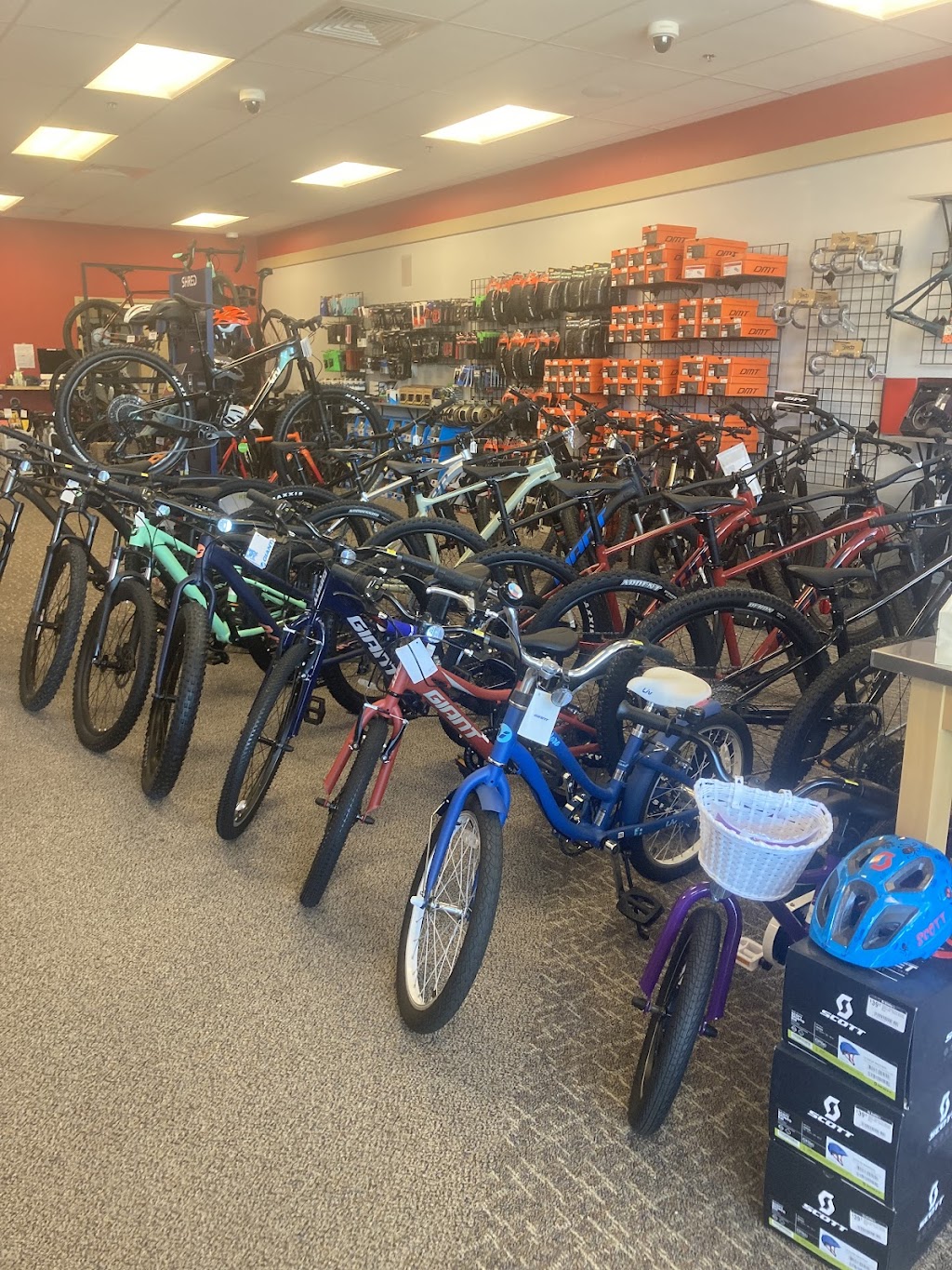 RJ Bradleys Ski & Bike | 222 Great Rd, Littleton, MA 01460, USA | Phone: (978) 339-5375