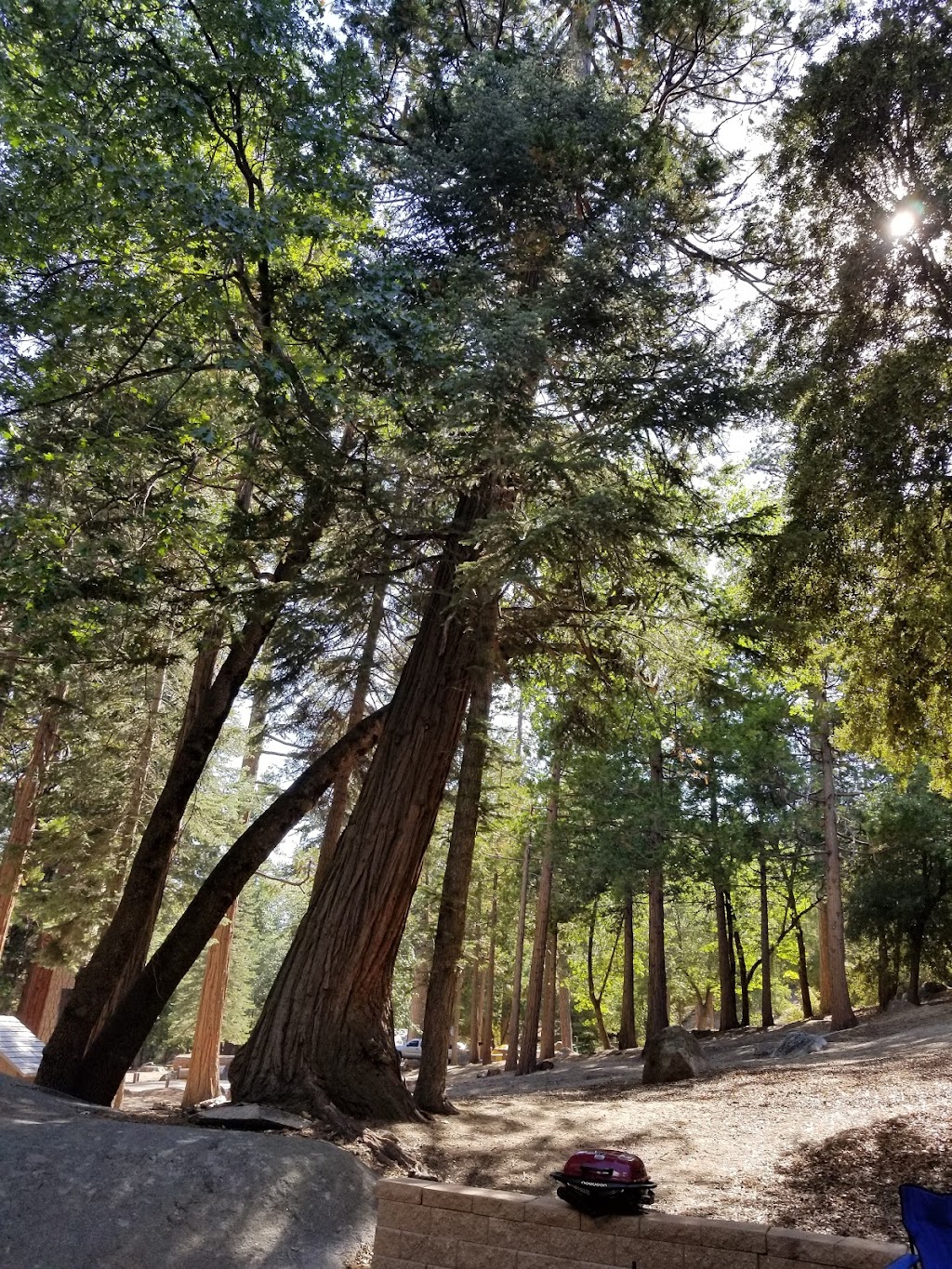 Dark Canyon Campground | Banning, CA 92220, USA | Phone: (909) 382-2921