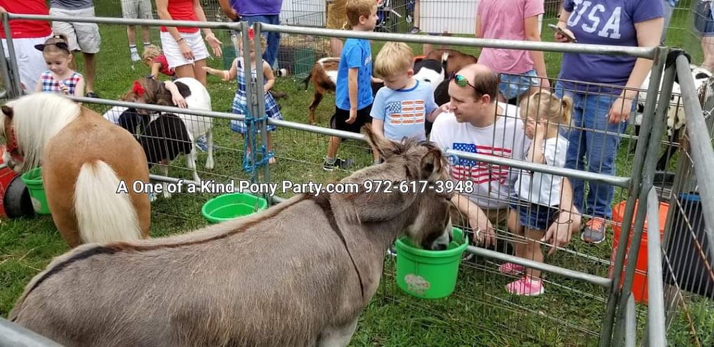 A One of A Kind Pony Party | 912 Bells Chapel Cir, Waxahachie, TX 75165 | Phone: (972) 617-3948