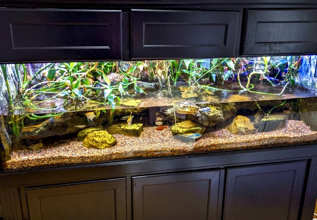 Innovative Aquatics | 2525 Pilgrim Mill Cir, Cumming, GA 30041, USA | Phone: (770) 296-0388