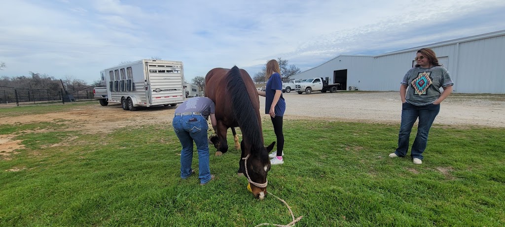 Cutting Edge Equine Hospital | 7206 FM 51, Boyd, TX 76023, USA | Phone: (940) 799-8900