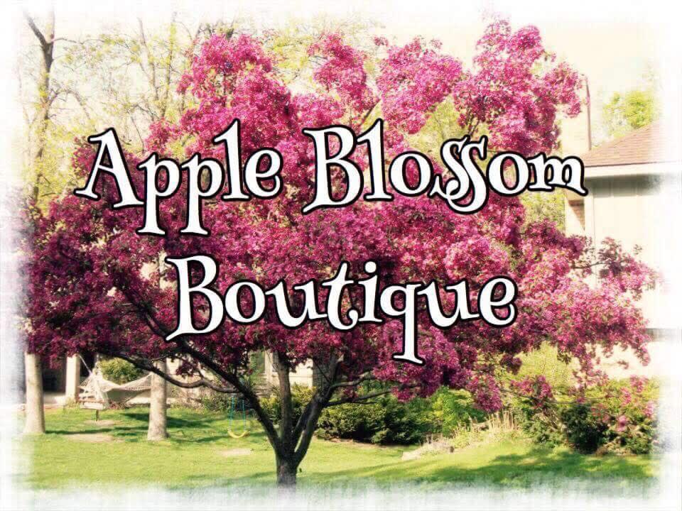 Apple Blossom Boutique | 1780 New St Unit #103, Union Grove, WI 53182, USA | Phone: (262) 672-7034