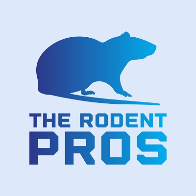 The Rodent Pros | 600 Cleveland St Suite 374, Clearwater, FL 33755, United States | Phone: (727) 922-4637