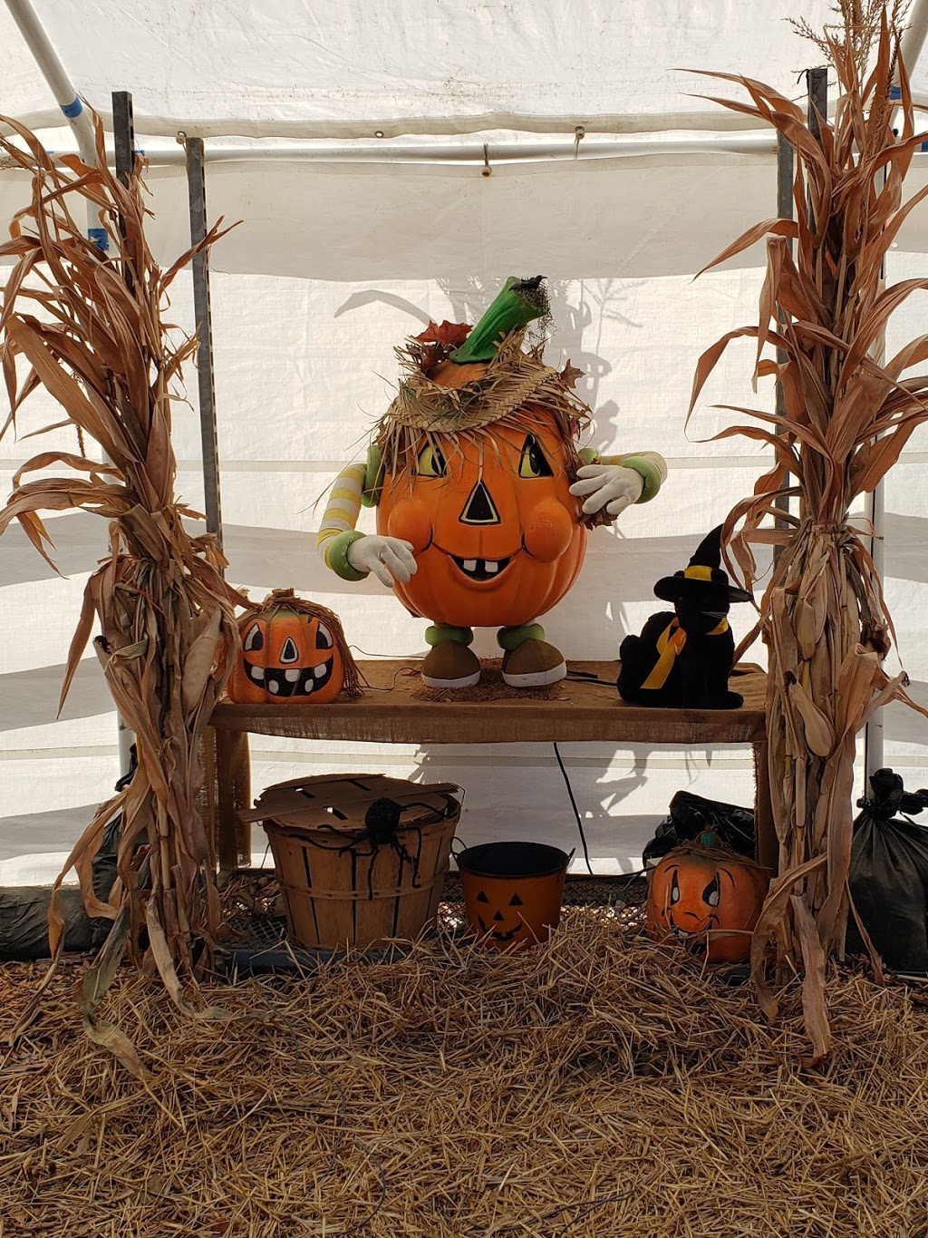 Farms View Roadstand | 945 Black Oak Ridge Rd, Wayne, NJ 07470, USA | Phone: (973) 839-1212