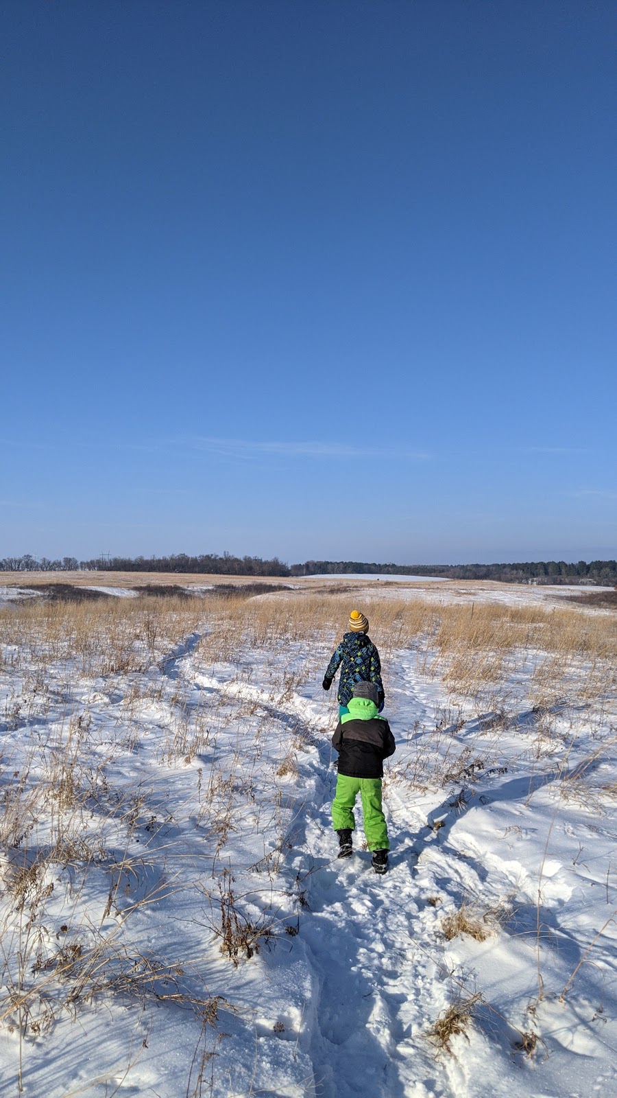 Lost Valley Prairie Scientific and Natural Area (SNA) | Nyberg Ave S, Hastings, MN 55033, USA | Phone: (651) 259-5800